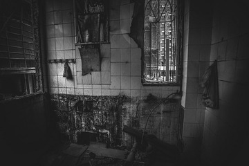 IMG_0017.jpg