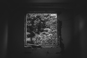 IMG_0026.jpg