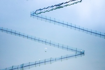 2008297