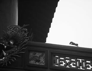 精灵--孙仲XV8I1927