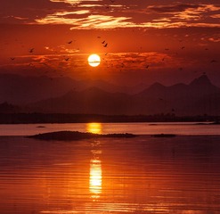 夕阳鹭影