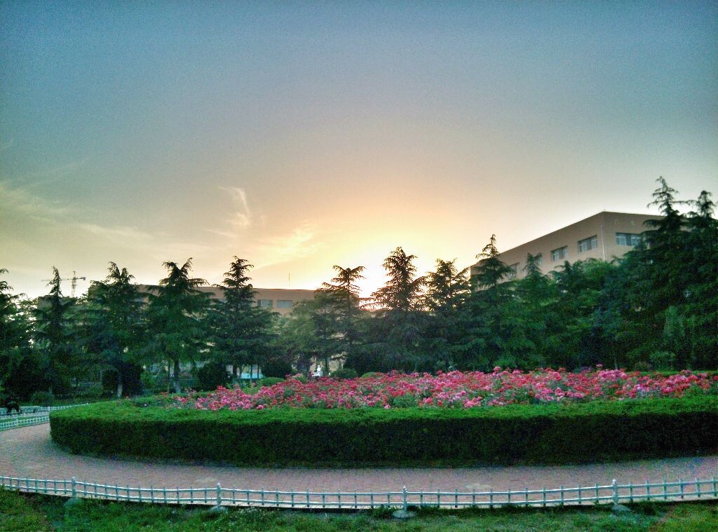 学校花坛