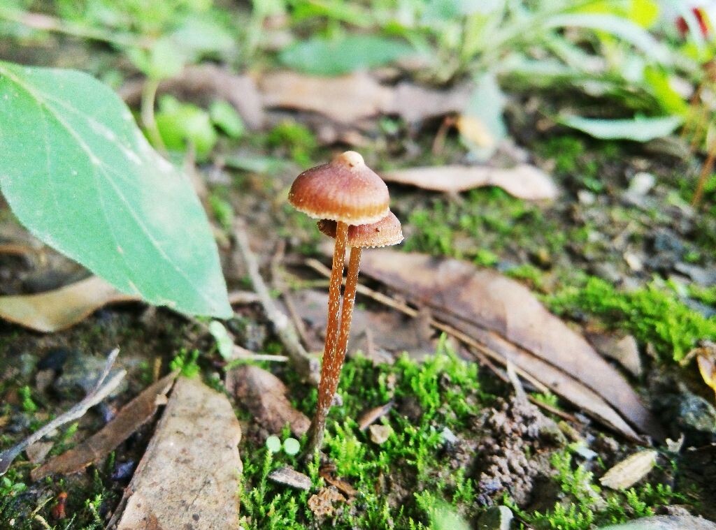 雨过天晴