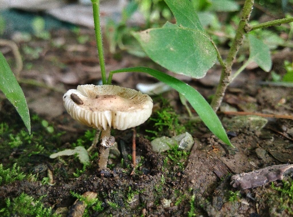 雨过天晴