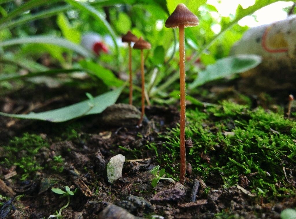 雨过天晴