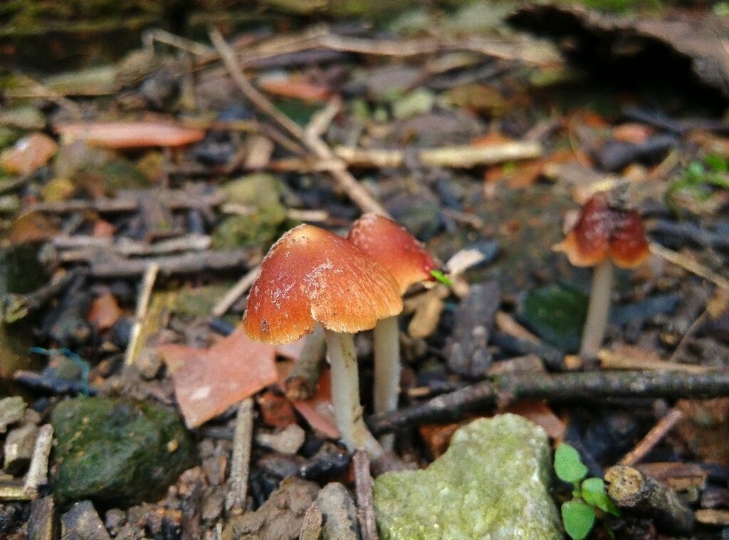 雨过天晴