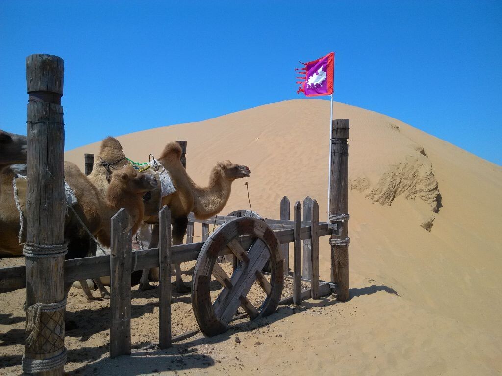 沙漠之舟