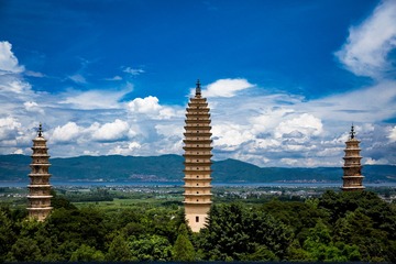 中药大全