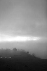 IMG_6165-1
