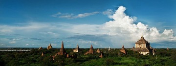 IMG_6701.jpg