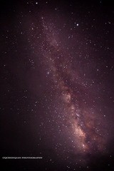 IMG_8938.jpg