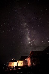 IMG_8941.jpg