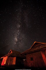IMG_8960.jpg