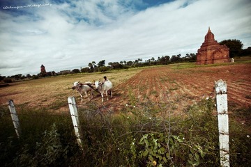 IMG_5667.jpg