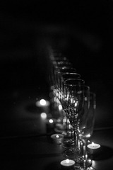 IMG_7555.jpg