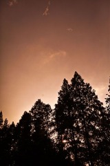 IMG_2593-1