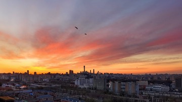 IMG_0530-1