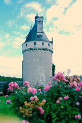 Chenonceaux的花园
