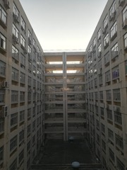 337726