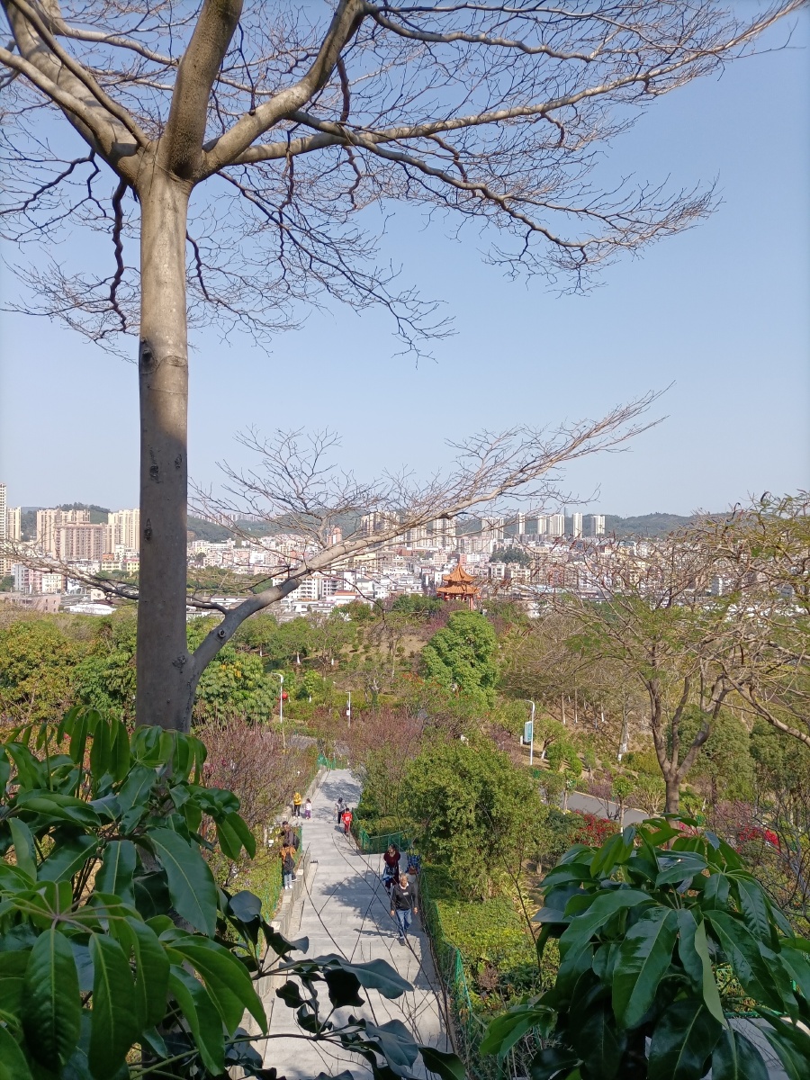 雁田公园雁湖公园