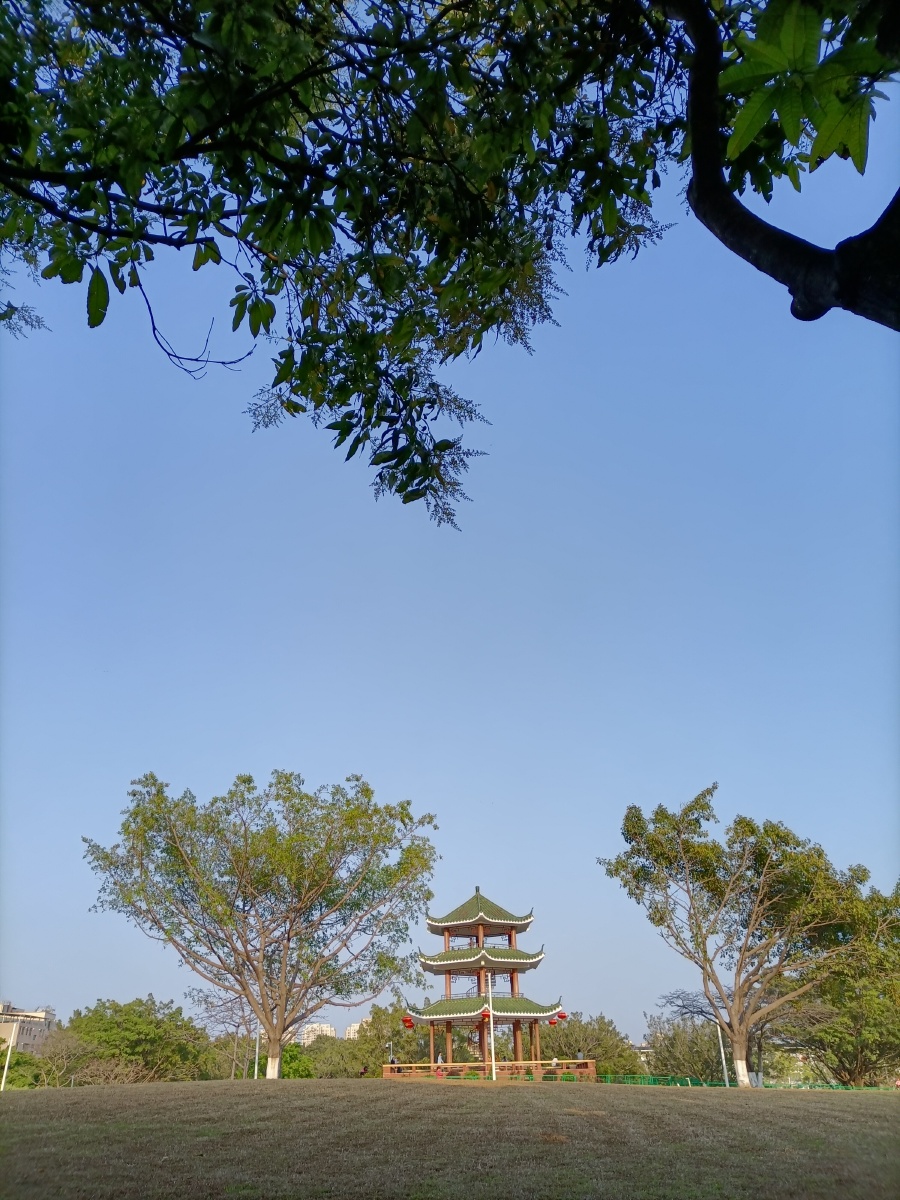 雁田公园雁湖公园