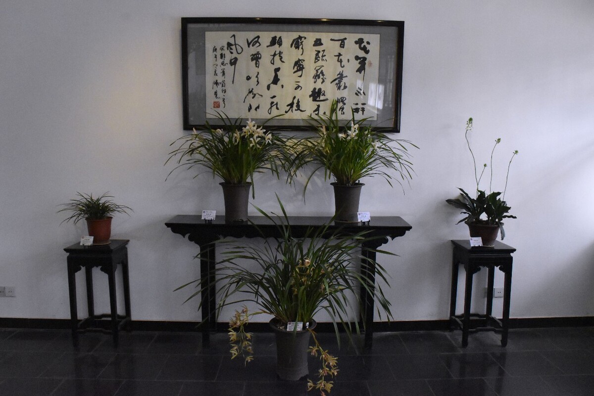 孩子、母亲与老人<br />
2011.5.摄于邛崃夹关镇