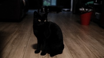 27309