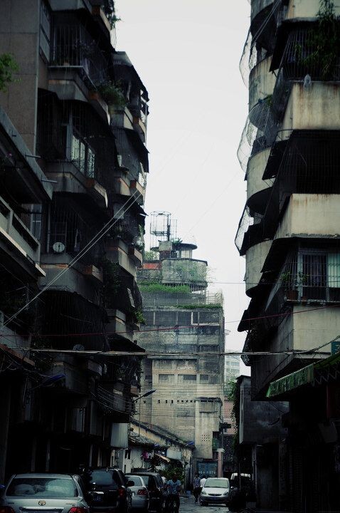 大榕树旧屋<br />
