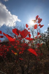 IMG_5932.JPG