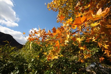 IMG_5965.JPG