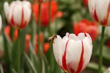 IMG_0217.JPG