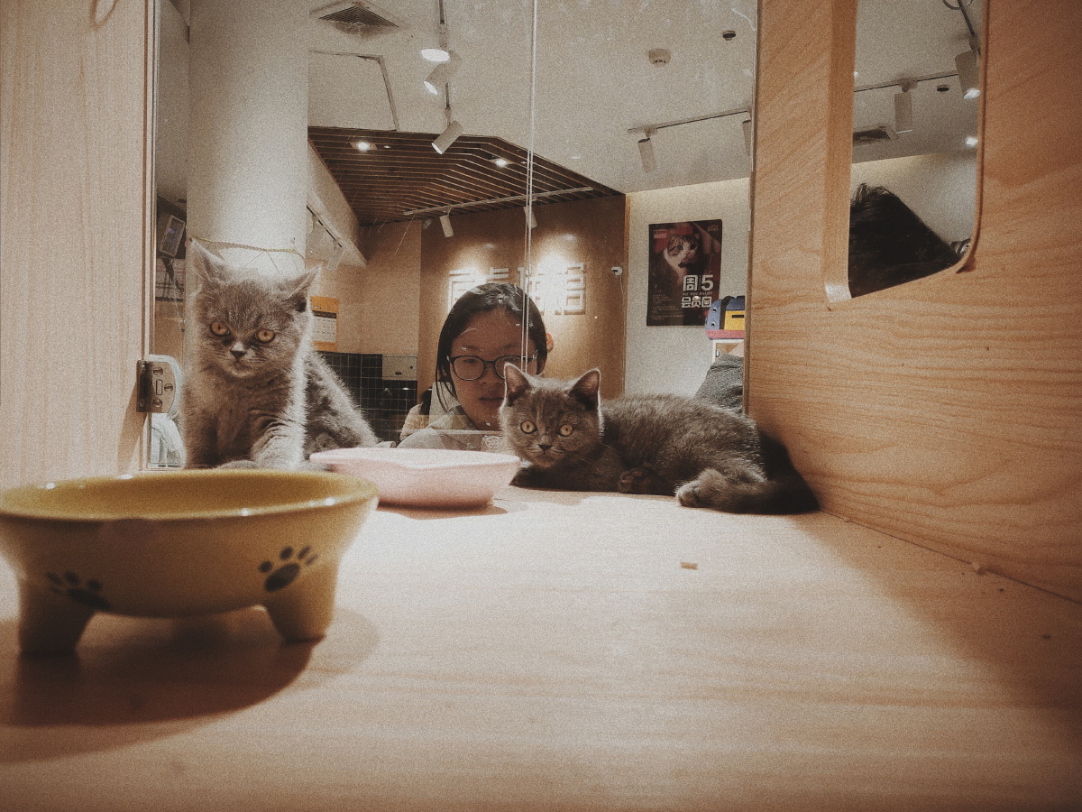 伟德国际高铁还是全民在背着还贷款而且每年的收益都是亏损。@哔哔复哔哔：变成了道路高铁公路变成了航母军舰先进战机变成了芯片空间站反正你能接触到的一切有哪样缺得了财政？@非凡溪流ce：土地是全国人民的土地出让金都去了哪里请有关部门给人民一个交代。