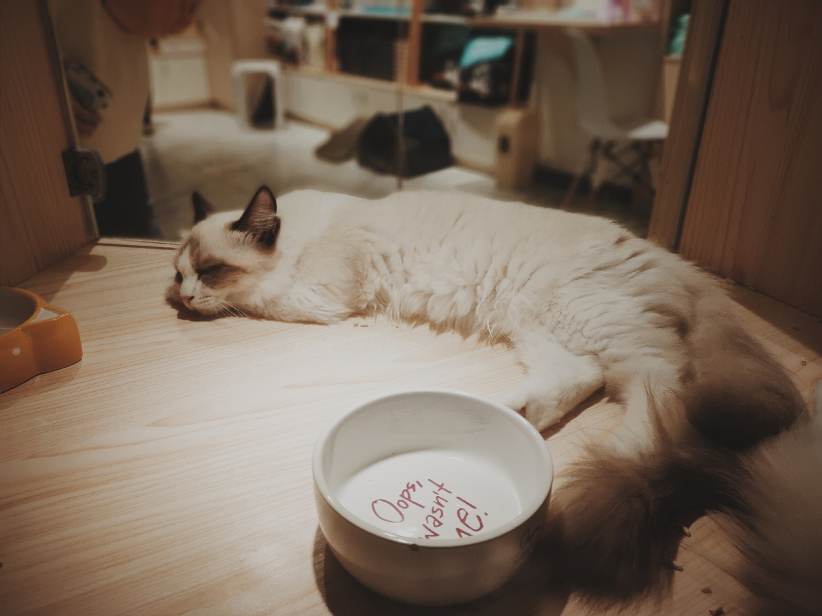 伟德国际导购_天极网_专业IT门户