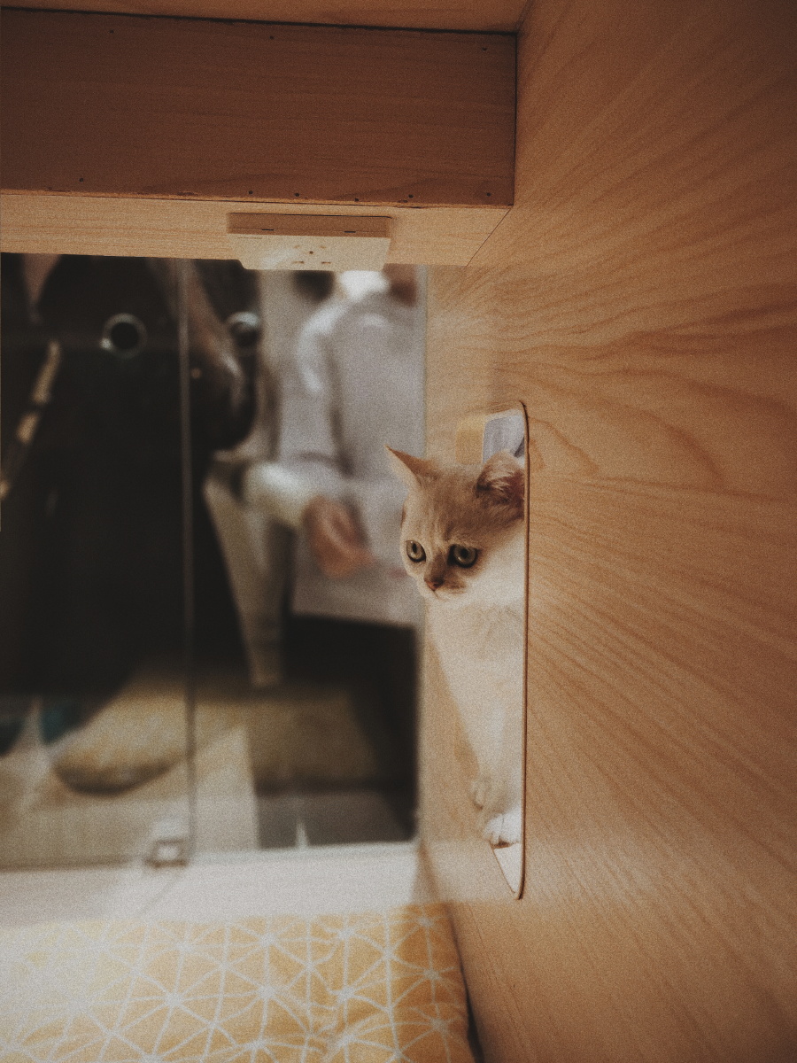 伟德国际美元债异动&nbsp;绿地控股集团GRNLGR 675 092629价格上涨9557%报18356