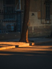 1000123156
