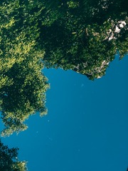 1000027417