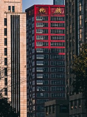 1000125337