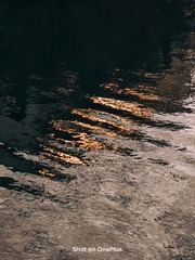 1000244920