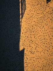 1000123243