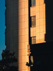 1000243184