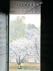 1000216618