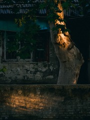 1000124940
