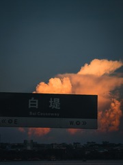 1000241718