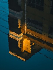 1000115036