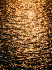 1000227980