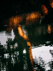 1000244186
