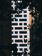 1000125330