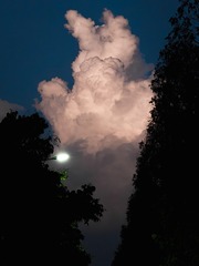 1000004146