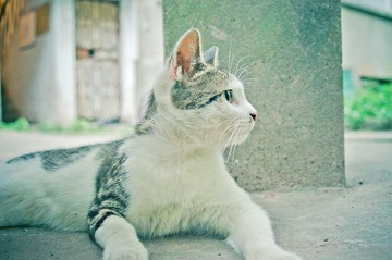 _IGP0180.jpg