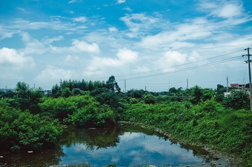 IMGP2644.jpg